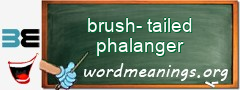 WordMeaning blackboard for brush-tailed phalanger